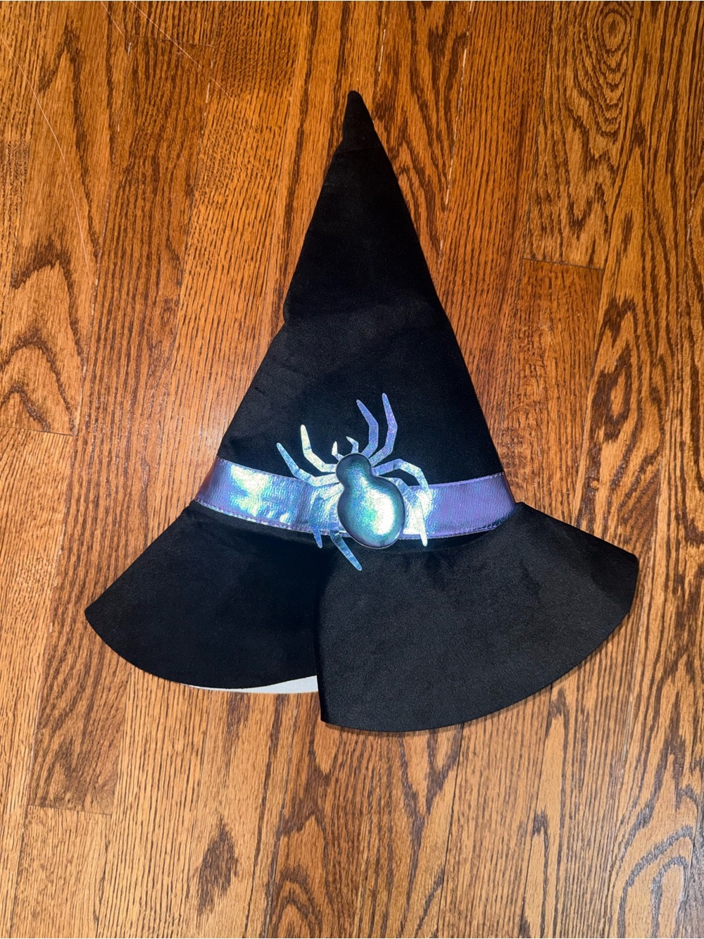 Target Black Witch Hat with Iridescent Purple Spider Accent